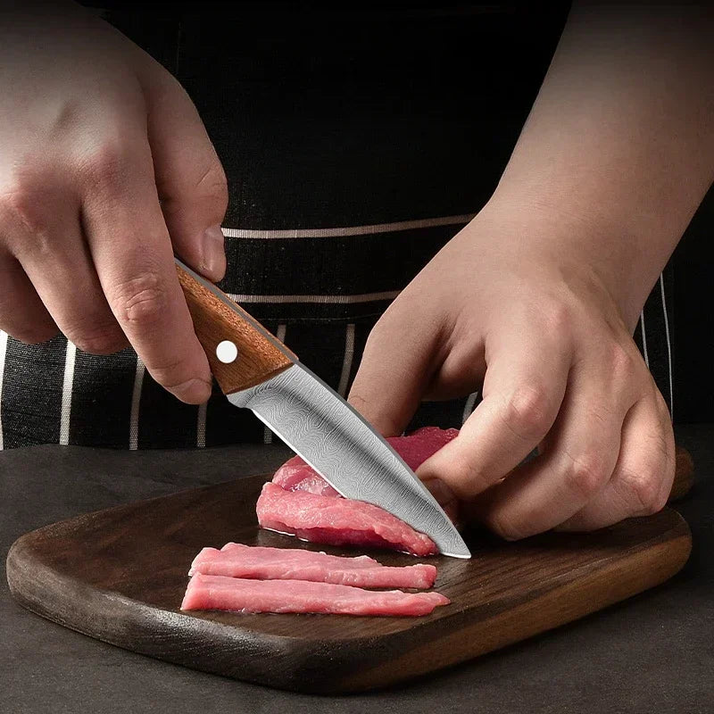 Camping stainless steel fruit knife with holster knife, men's portable outdoor fish killing knife kitchen knife