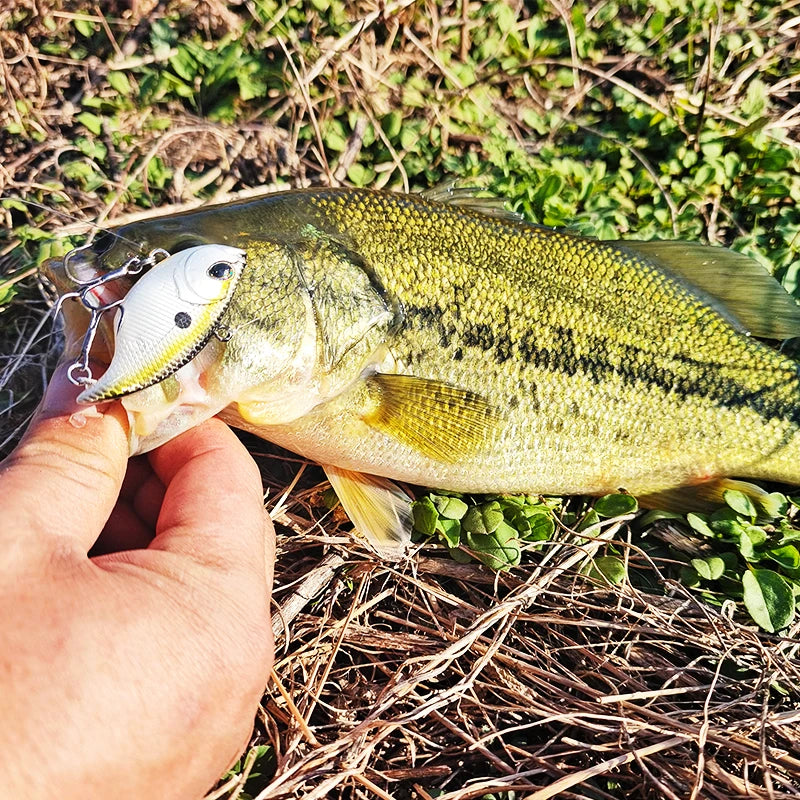 TSURINOYA 50mm 12.5g Vibration Noise Fishing Lure TEMPTER 50S Sinking Winter Fishing Lure Pike Bass Saltwater Hard Bait Wobbler