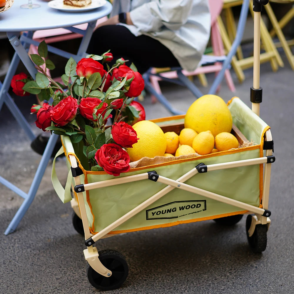 Camping carts are exquisite compact practical sturdy and have a strong load-bearing frame They are designed to be folded