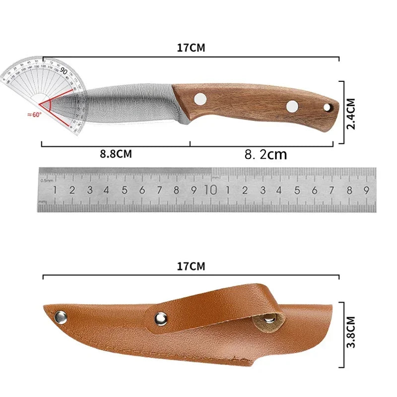 Camping stainless steel fruit knife with holster knife, men's portable outdoor fish killing knife kitchen knife