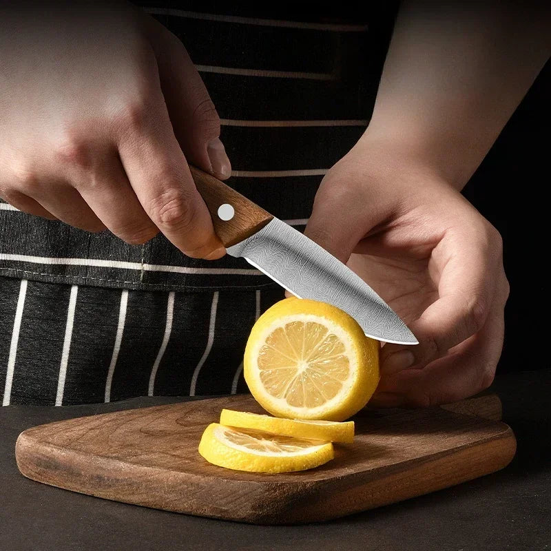 Camping stainless steel fruit knife with holster knife, men's portable outdoor fish killing knife kitchen knife