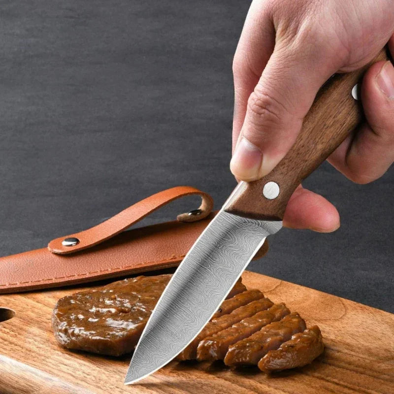Camping stainless steel fruit knife with holster knife, men's portable outdoor fish killing knife kitchen knife